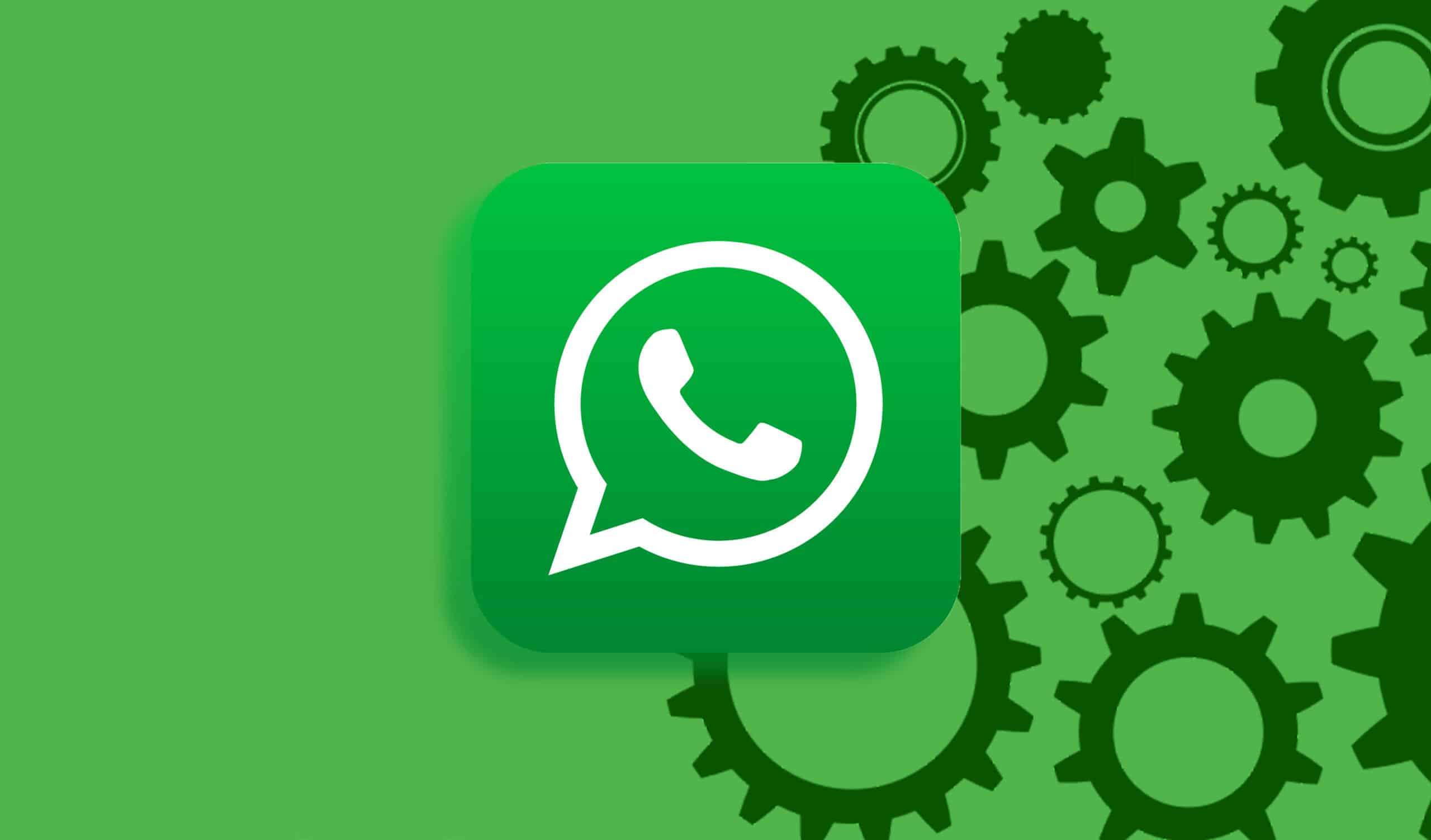 WhatsApp怎么调成中文？3分钟搞定语言切换